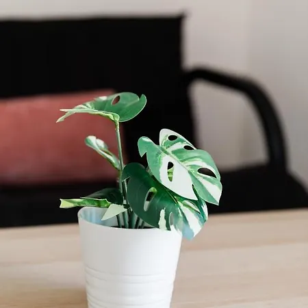 Alexandros Luxury Appartamento