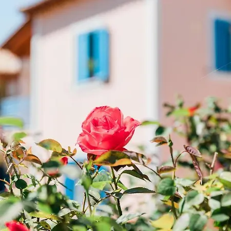 Alexandros Luxury * Nydri (Lefkada)