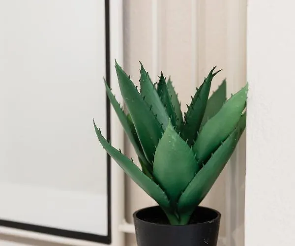 Διαμέρισμα Alexandros Luxury Νυδρί