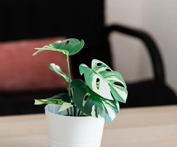 Alexandros Luxury Διαμέρισμα