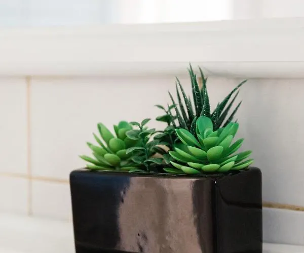 Alexandros Luxury Νυδρί