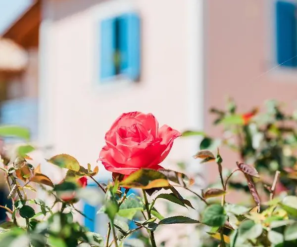 Alexandros Luxury * Νυδρί